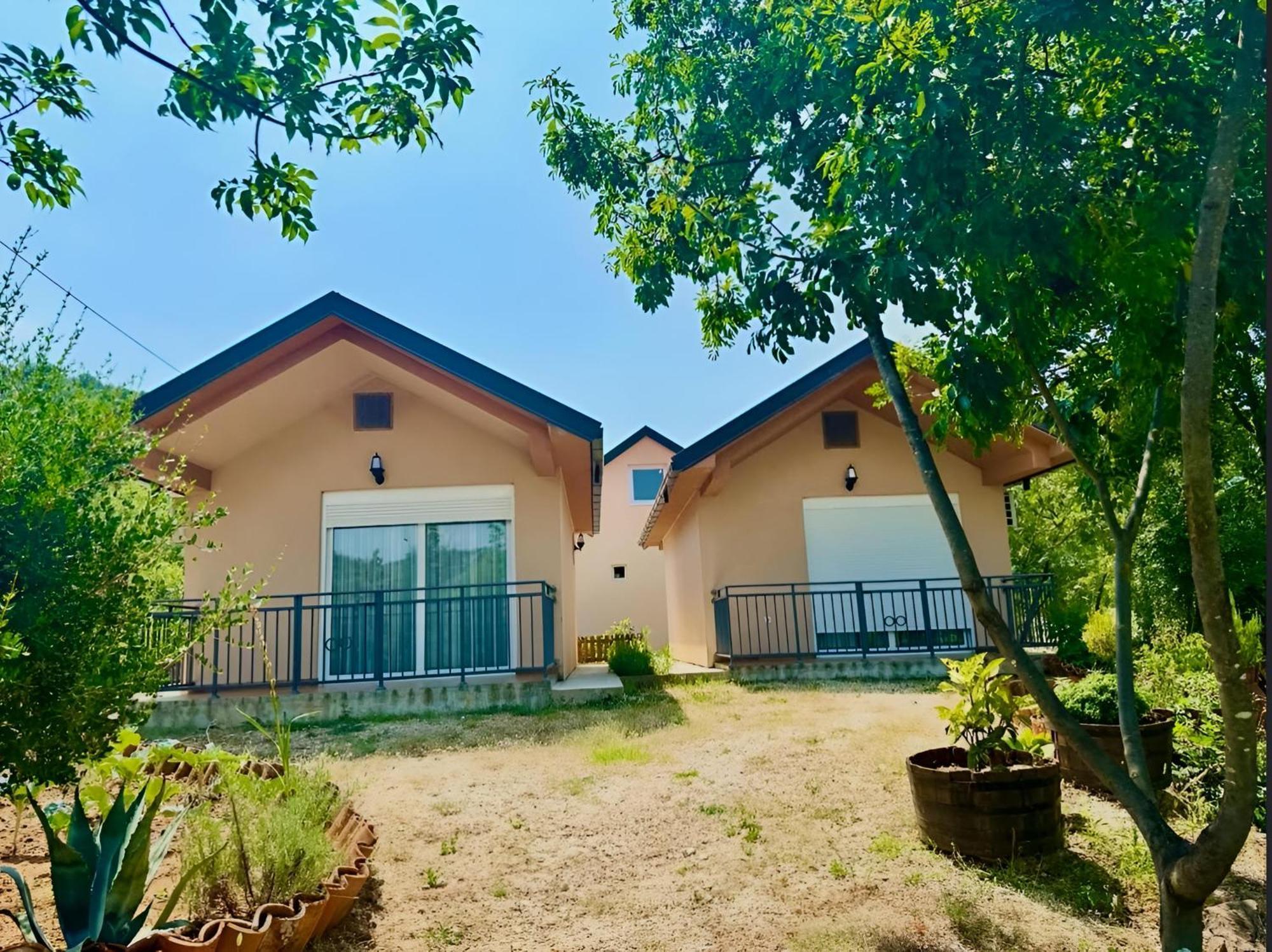 S&M Apartments Rijeka Crnojevica Bagian luar foto